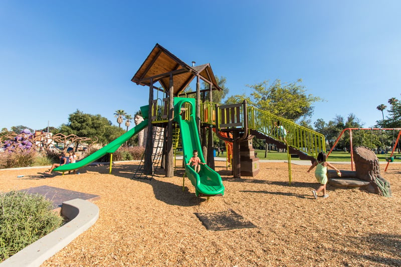 Grape Day Park preview 13